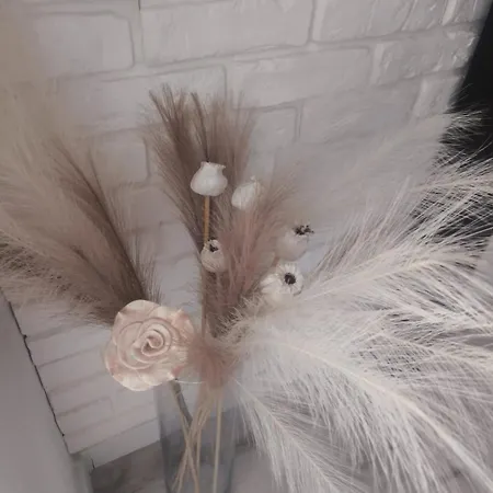 Neo Retro Apartamento Jelenia Góra