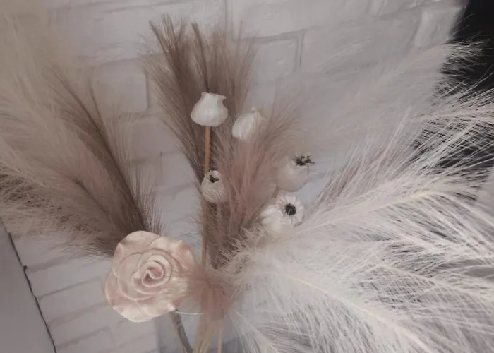 Neo Retro Apartment Jelenia Gora